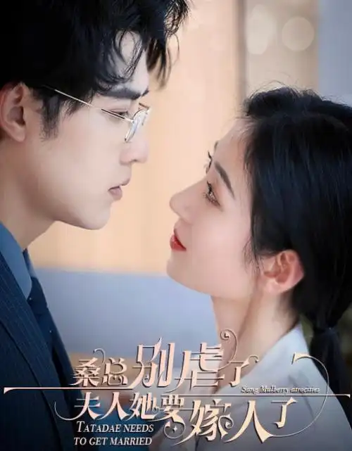 热播电视剧长夜将明全集在线观看剧照